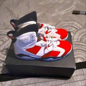 Jordan Carmine 6's